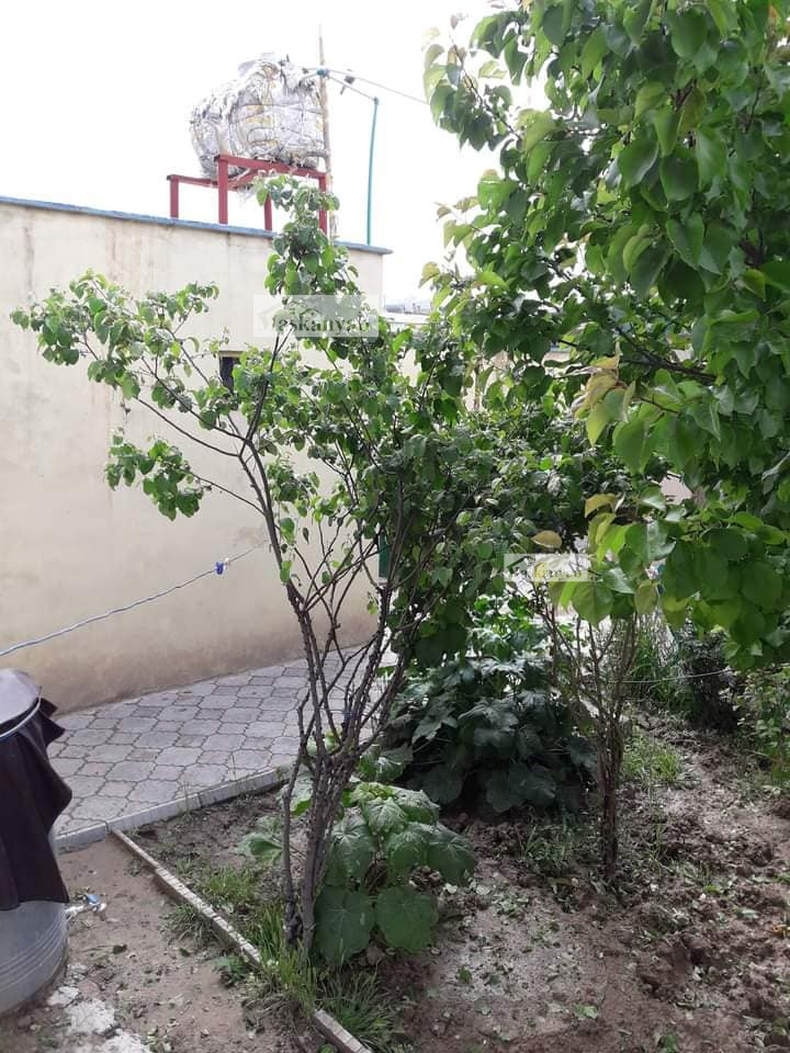 Four-room house for sale in Gula-e Khawja Boghra, Kabul