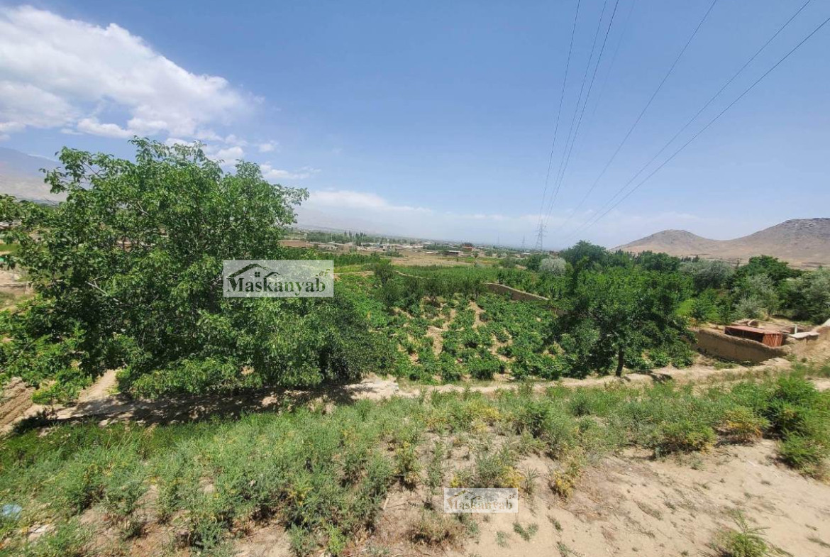 One NOMRA land (Garden) for sale in Chashma Dogh, Kabul