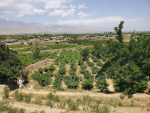 The One NOMRA land (Garden) for sale in Chashma Dogh, Kabul