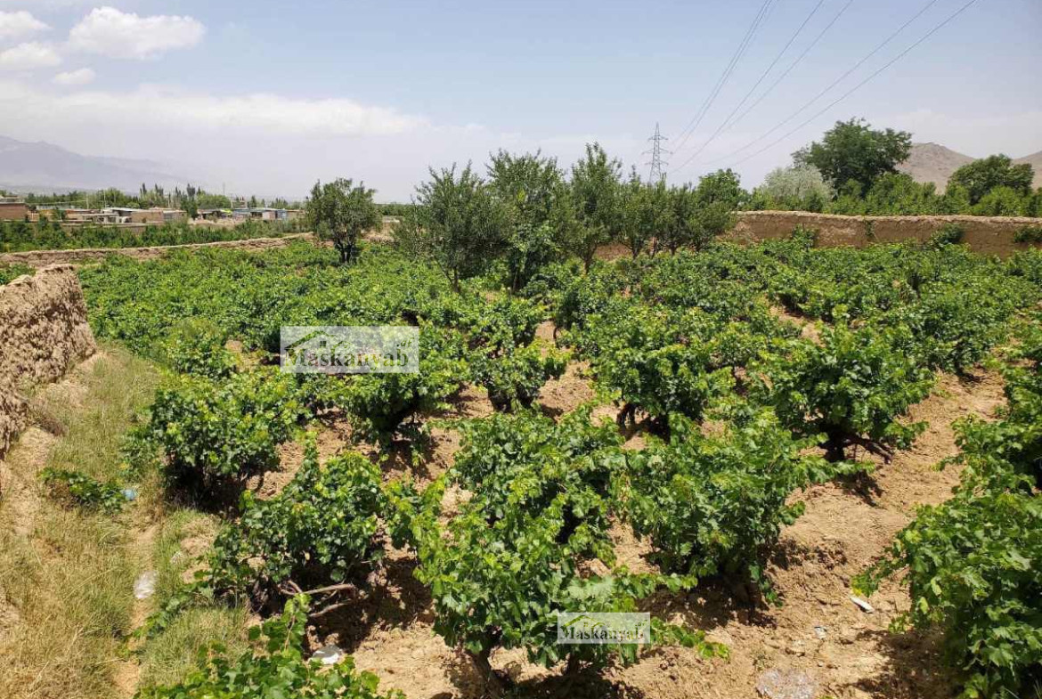 One-NOMRA land for sale in Chashma Dogh, Kabul