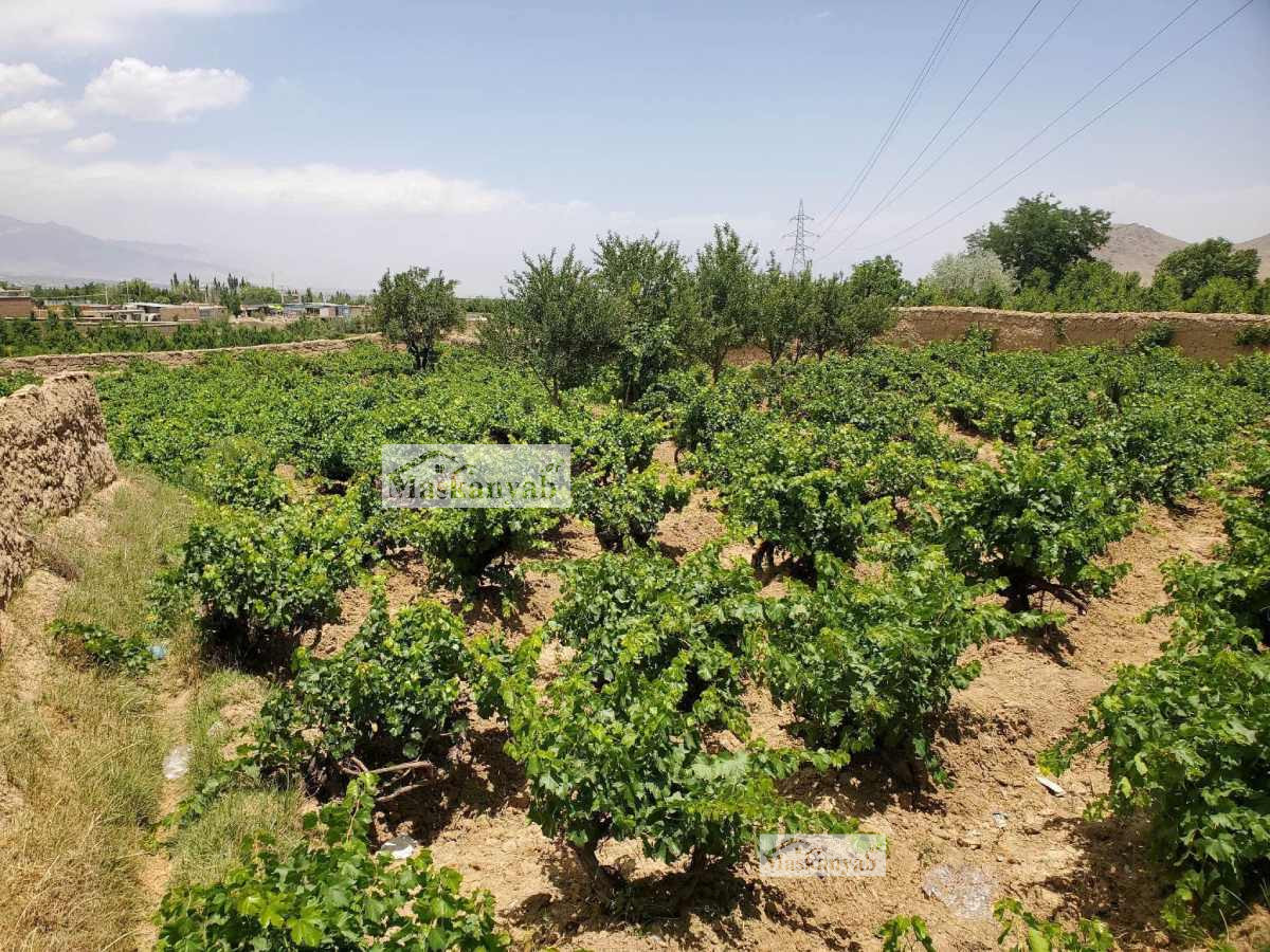 One-NOMRA land for sale in Chashma Dogh, Kabul