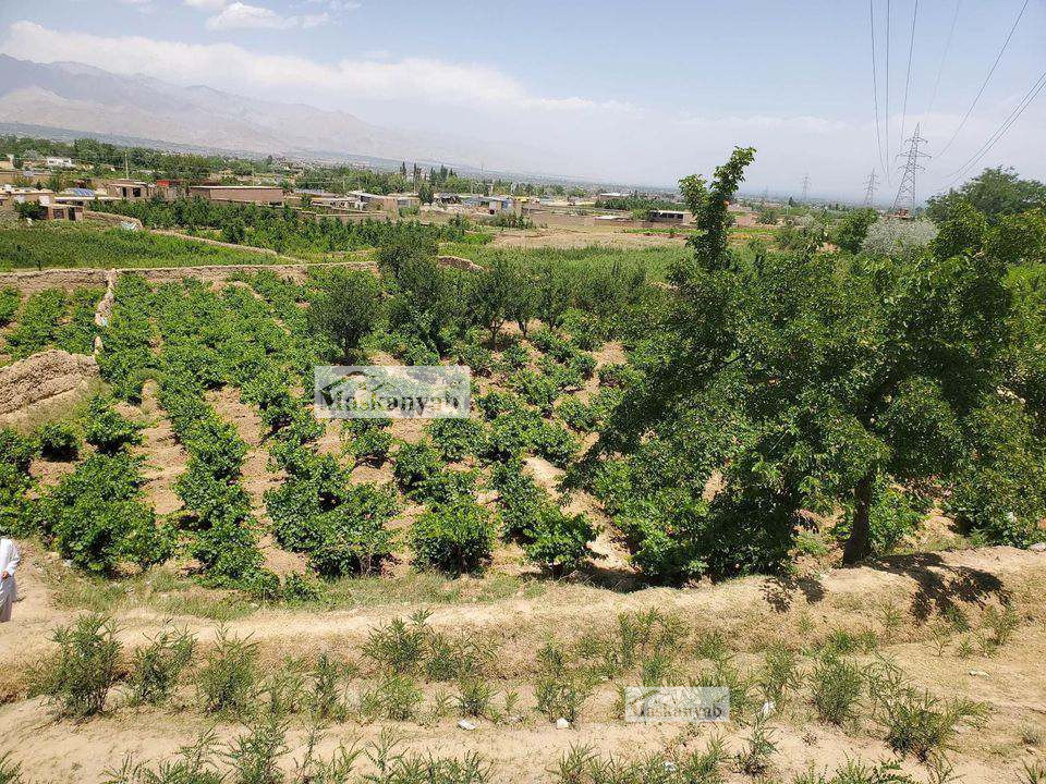 One-NOMRA land for sale in Chashma Dogh, Kabul