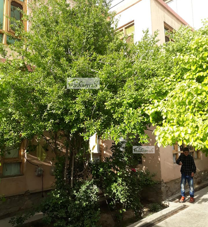 Two-floor house for sale in Khoshal Khan, Kabul