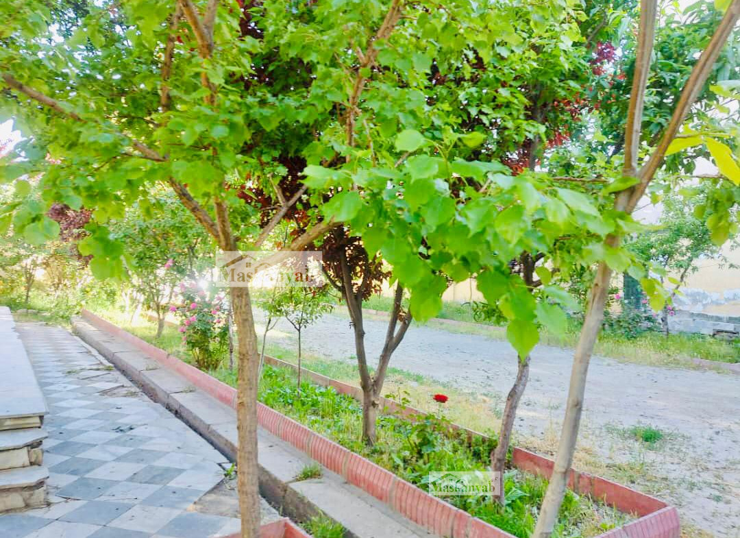 The Ten rooms house is for rent in Shahr-e New, Kabul