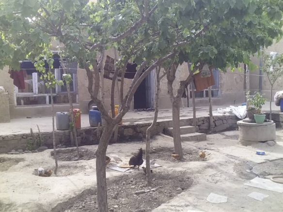 The Six-room house is for sale in Company, Kabul