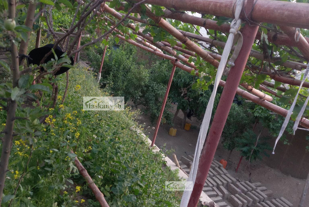 Three-room house for sale in Chehel Sotun, Kabul