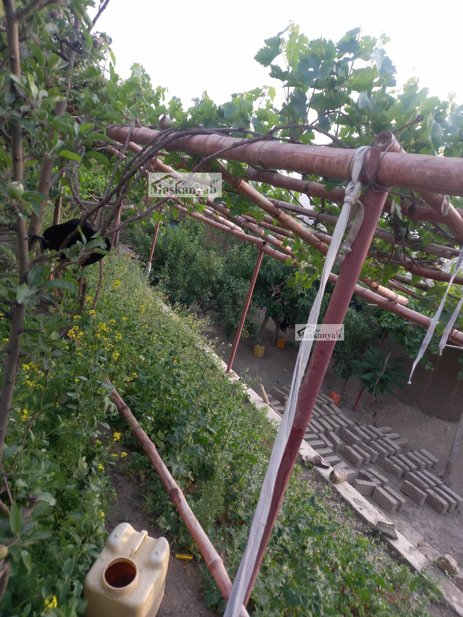 Three-room house for sale in Chehel Sotun, Kabul