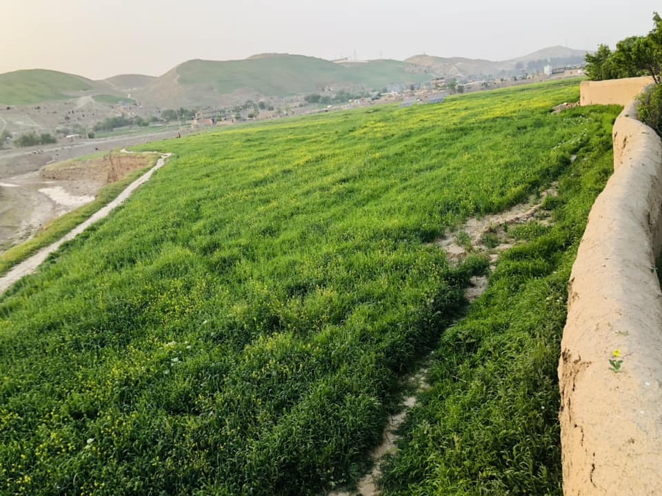 Two-Grib land for sale in Badghis Province, Afghanistan