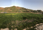 Two-Grib land for sale in Badghis Province, Afghanistan