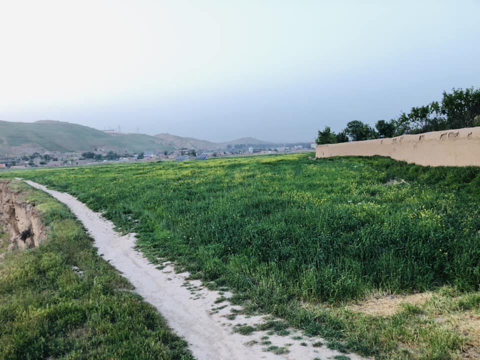 Two-Grib land for sale in Badghis Province, Afghanistan