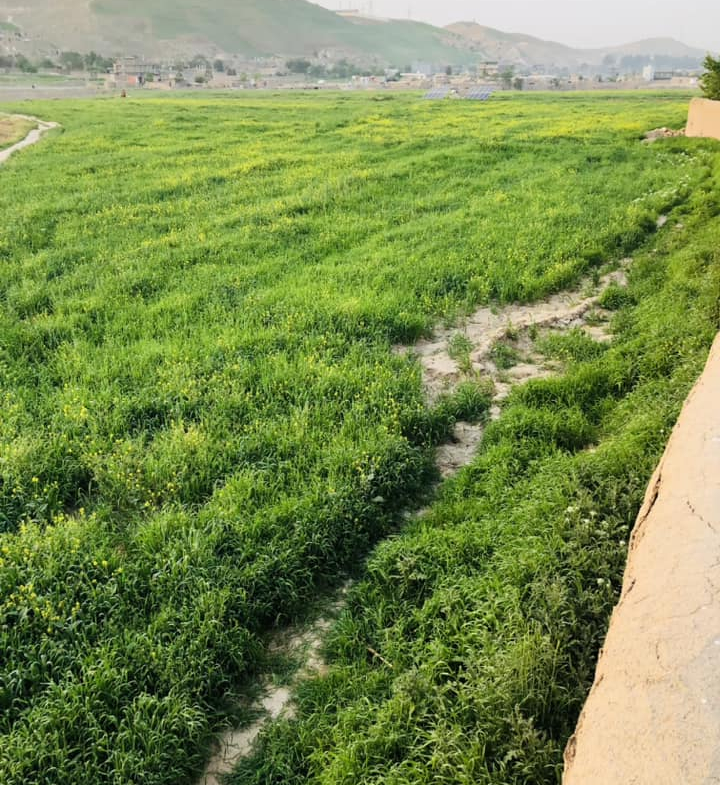 Two-Grib land for sale in Badghis Province, Afghanistan
