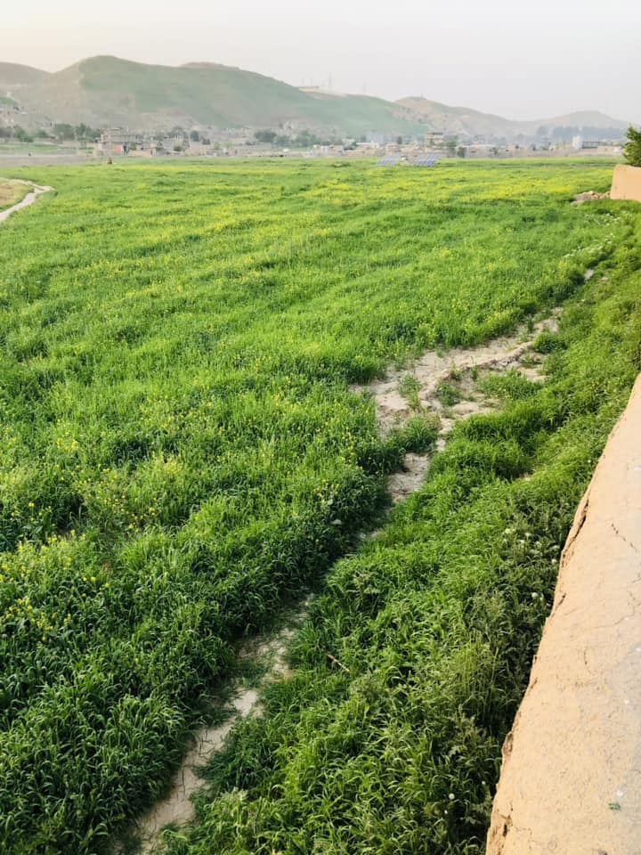 Two-Grib land for sale in Badghis Province, Afghanistan