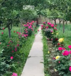 A big land is for sale in Faisal Town, Darul Aman