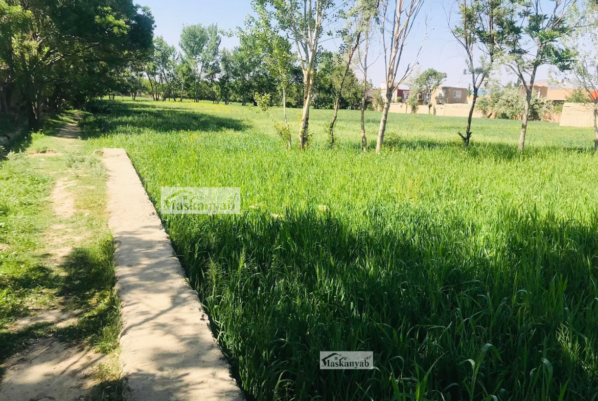 The One and Half Grib land for sale in Faisal Town, Kabul