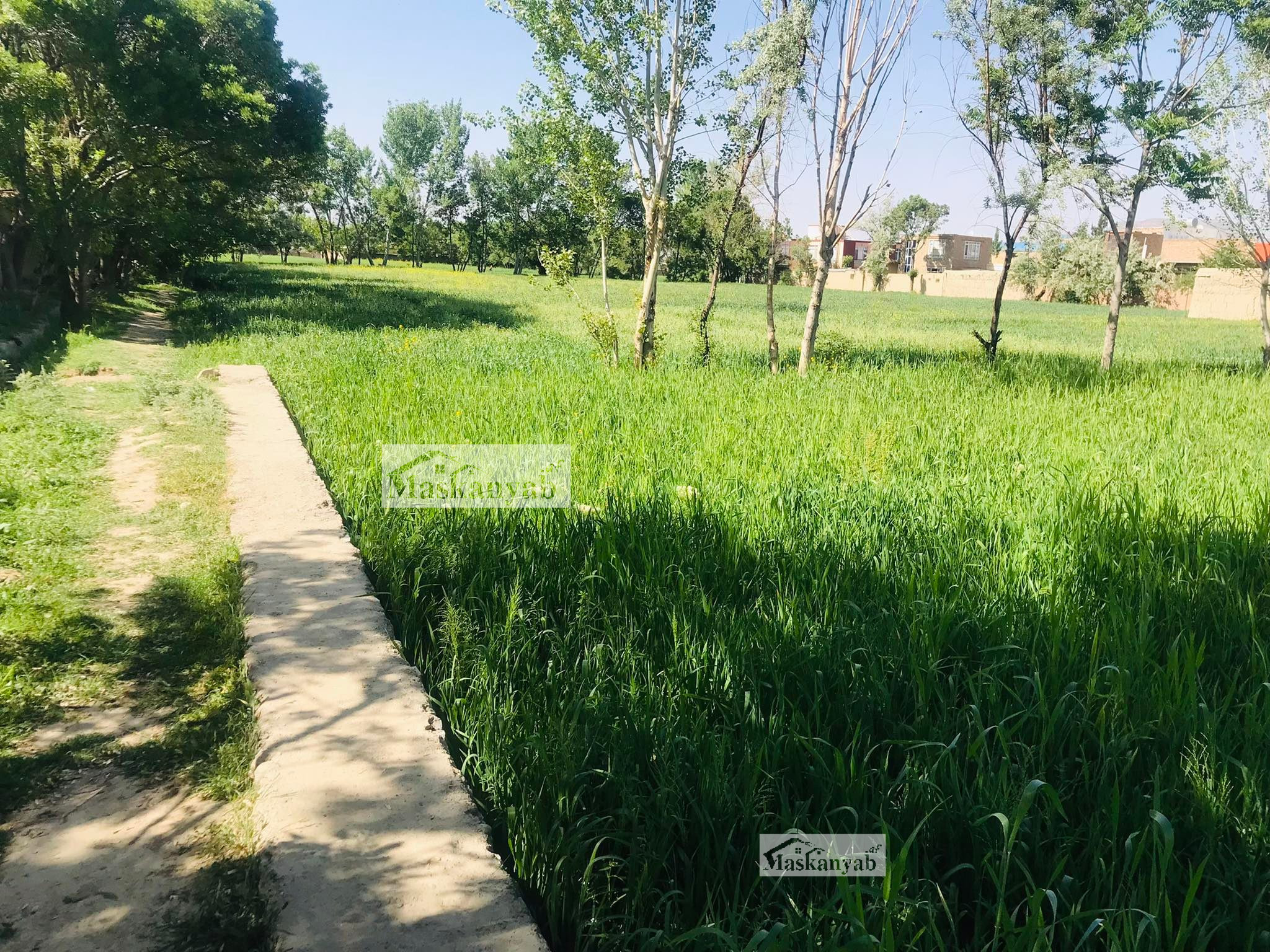 The One and Half Grib land for sale in Faisal Town, Kabul