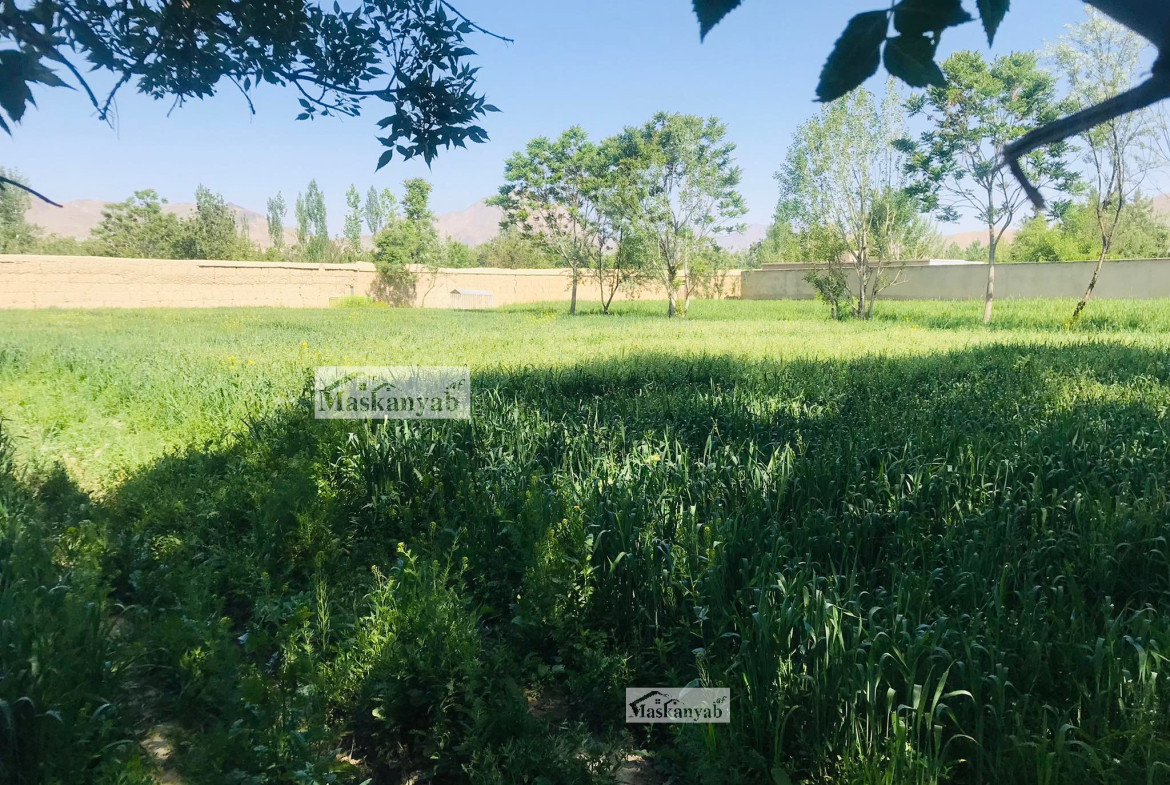 The One and Half Grib land for sale in Faisal Town, Kabul
