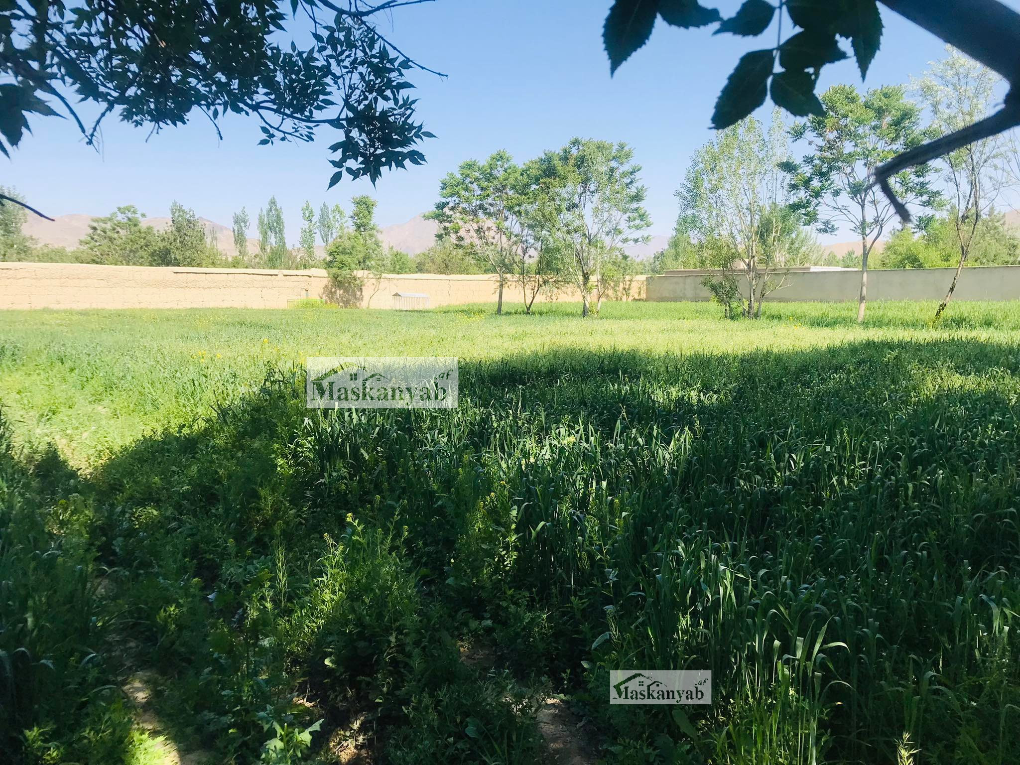 The One and Half Grib land for sale in Faisal Town, Kabul