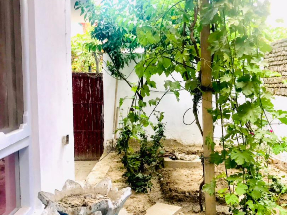 The Four-room house is for rent in Old Taimani, Kabul