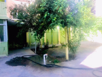 Five-room house for rent in Shahr-e New Kabul