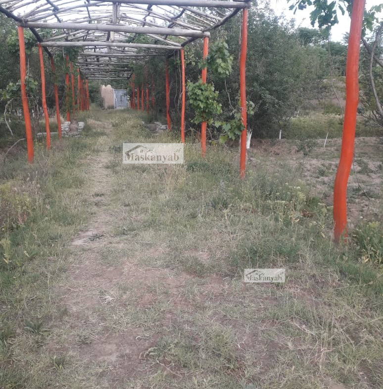 A big garden for sale on the road of Shakar Darra, Kabul