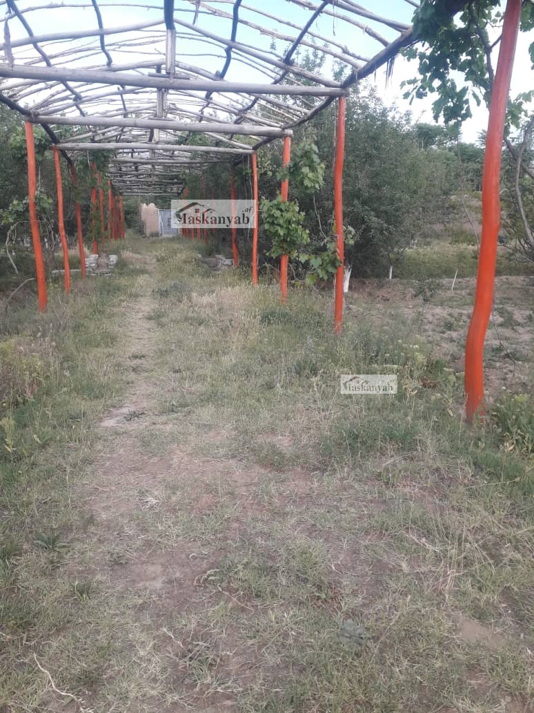 A big garden for sale on the road of Shakar Darra, Kabul