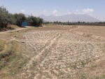 A big piece of Agriculture land for sale in Qargha, Kabul