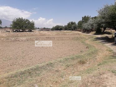 A big piece of Agriculture land for sale in Qargha, Kabul