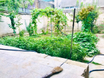 Four-room house for rent in Shahr-e New, Kabul