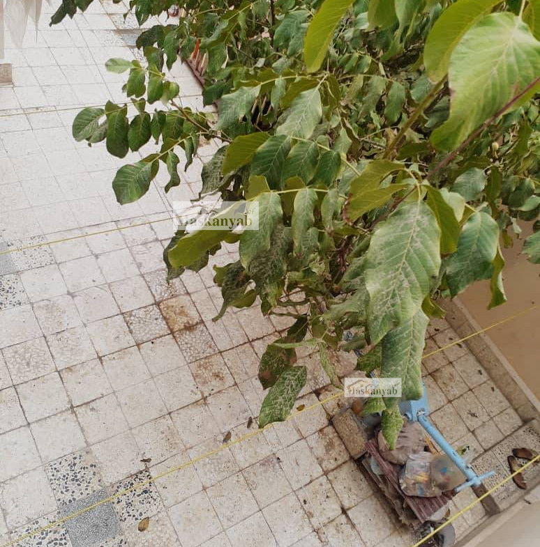 Four-room house for sale in District 7, Kabul