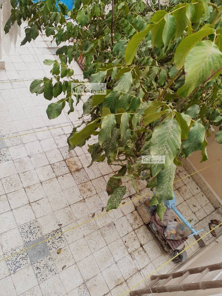 Four-room house for sale in District 7, Kabul