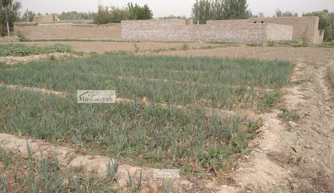 Six-Biswas land for sale in Eifress Abad, Takhar
