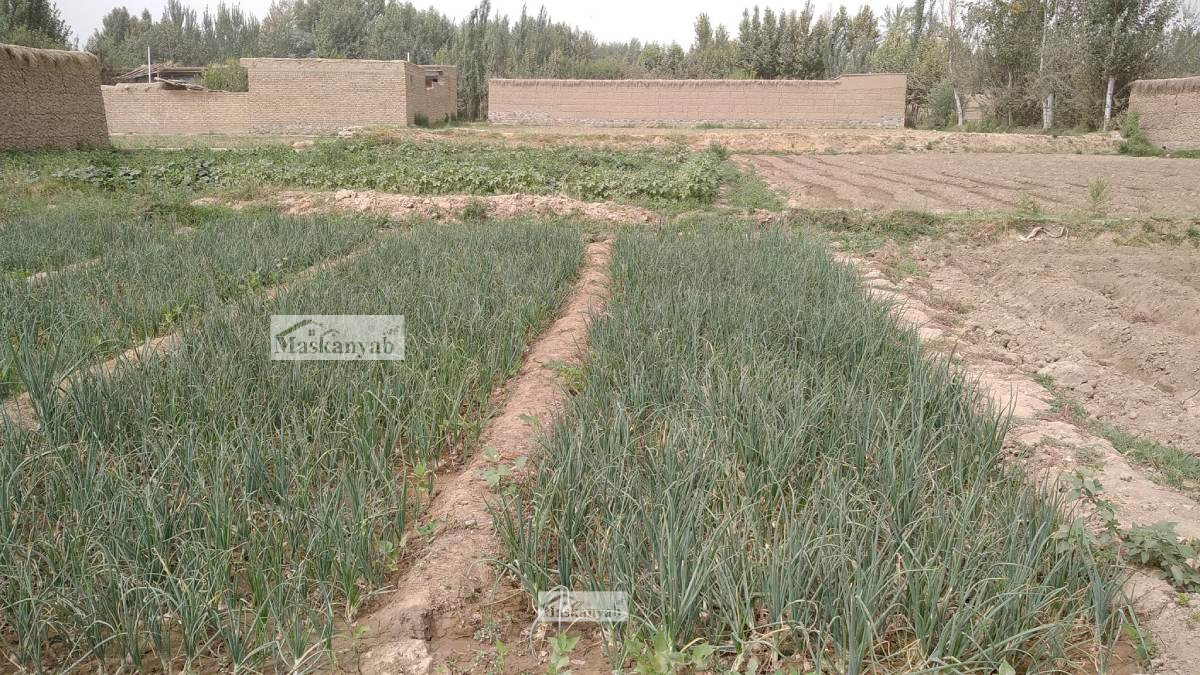 Six-Biswas land for sale in Eifress Abad, Takhar