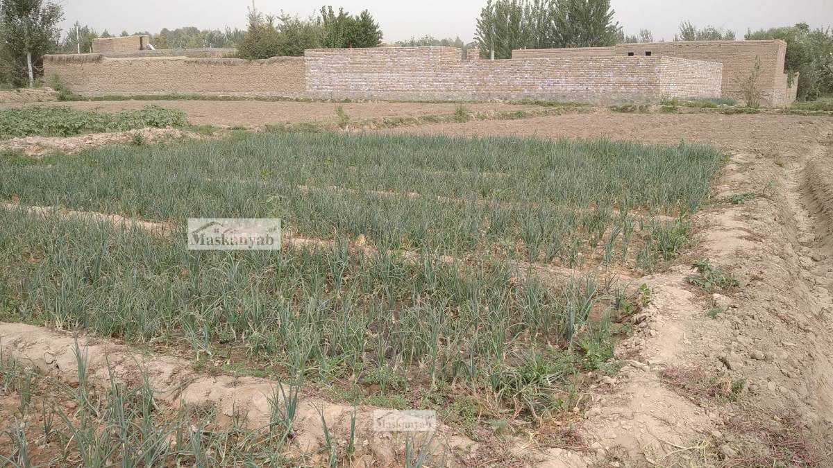 Six-Biswas land for sale in Eifress Abad, Takhar