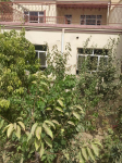 Three-room house for mortgage in Wahdat Abad, Kabul