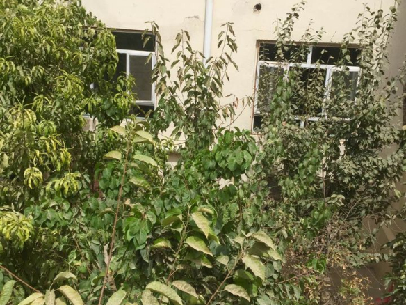 Three-room house for mortgage in Wahdat Abad, Kabul