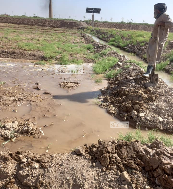 10 Grib land for sale in Pol-e Rawashan, Herat