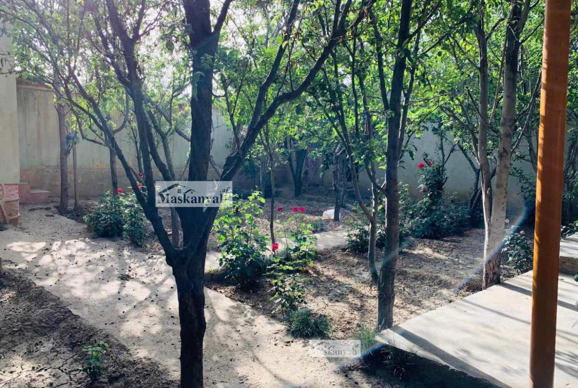 Three-room house for sale urgently Sar-e Kotal Khair Khana