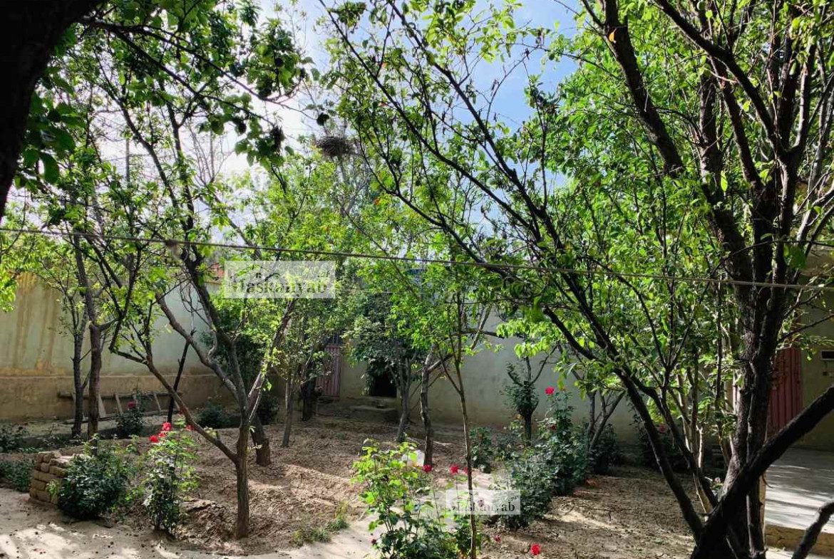 Three-room house for sale urgently Sar-e Kotal Khair Khana