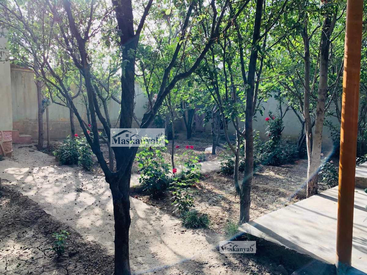 Three-room house for sale urgently Sar-e Kotal Khair Khana