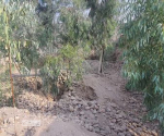 4-Biswas land for sale in Sultan Ghazi Baba Town