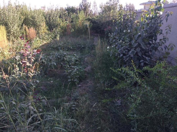 Four-side wall land for sale in Takhar Province
