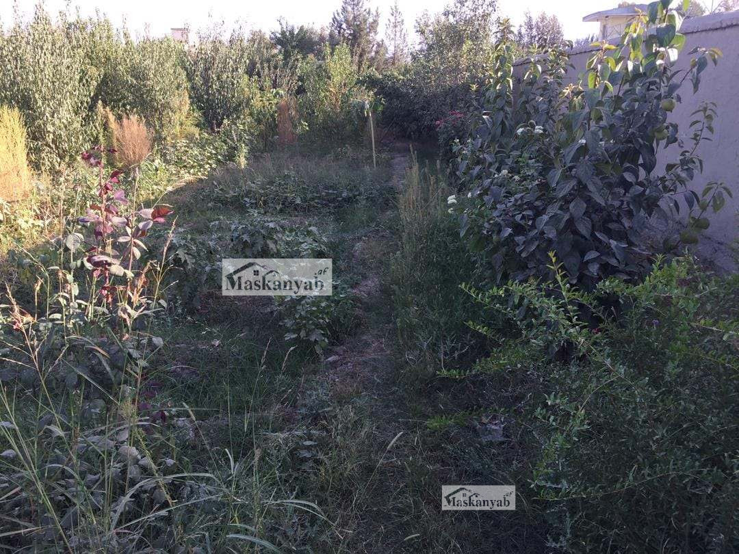 Four-side wall land for sale in Takhar Province