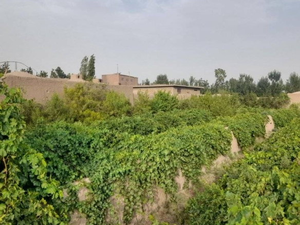 Imam 6 Noor Village, Enjil District, Herat Province, Afghanistan