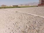 One Grib land for sale in Bagrami, Kabul