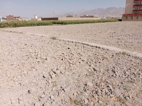 One Grib land for sale in Bagrami, Kabul