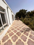 Six-room house for rent behind the Wazir Akbar Khan Hill