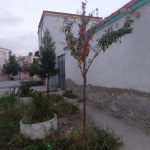 Old house for sale on 12th Street of Qala-e Fatihullah, Kabul