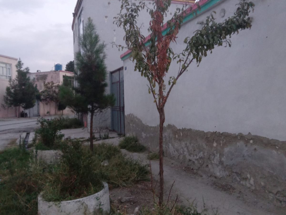 Old house for sale on 12th Street of Qala-e Fatihullah, Kabul