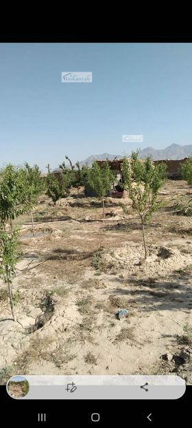 One-NOMRA land for sale behind the Band-e Qargha