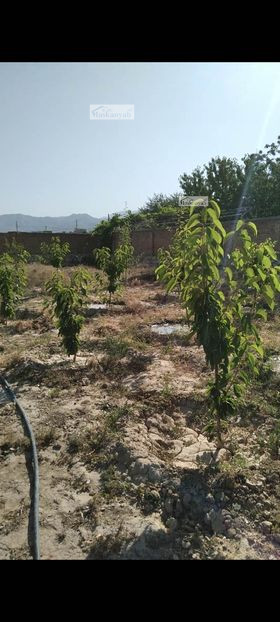 One-NOMRA land for sale behind the Band-e Qargha